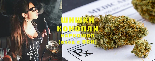 бошки Богданович