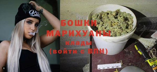 бошки Богданович