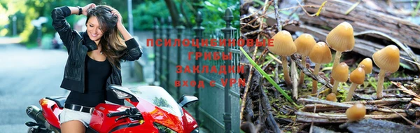 бошки Богданович