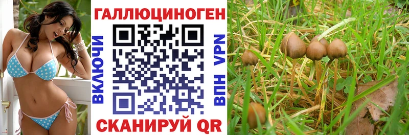 наркошоп  Надым  Псилоцибиновые грибы ЛСД 